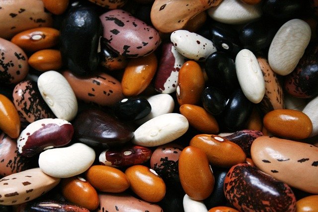 různé druhy fazolí